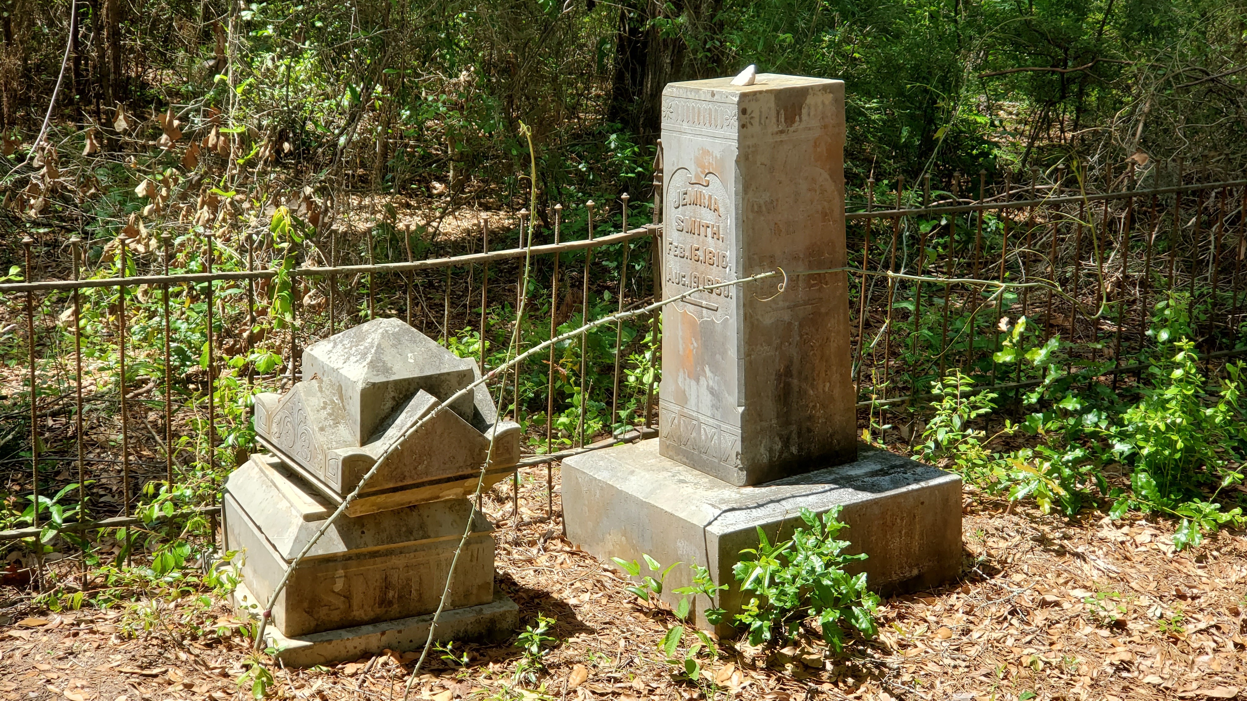 Tall headstone, 14:31:58, 31.0267324, -83.2880452