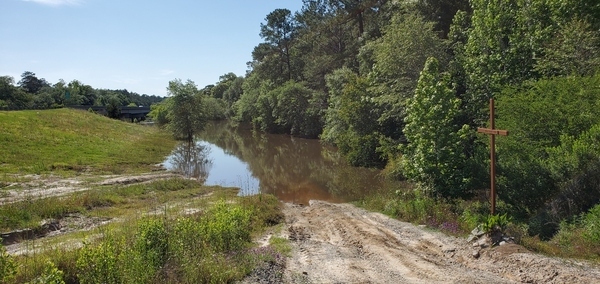 [Little River covering most of the potholes in Folsom Bridge Landing, 16:49:01, 31.0002400, -83.4546210]