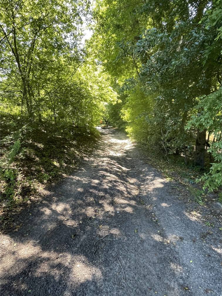 Gravel access road with woods