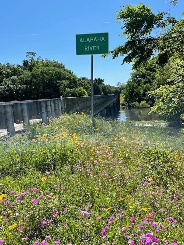 Alapaha River sign at US 41 bridge