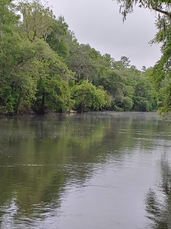 [Cleary Bluff, Withlacoochee River]