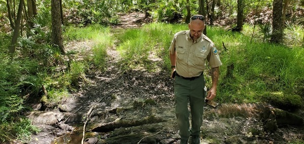 [Peter Shanks at the gully, 14:42:59, 30.3378322, -82.6827372]