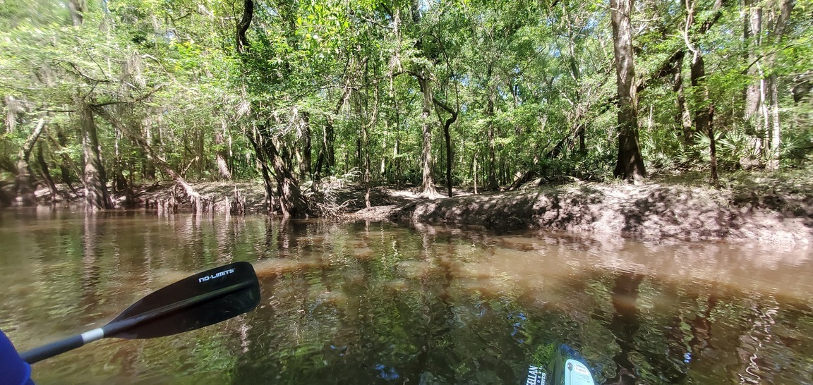 John W. Devine, right bank, 11:09:35, 30.8758723, -83.3246568