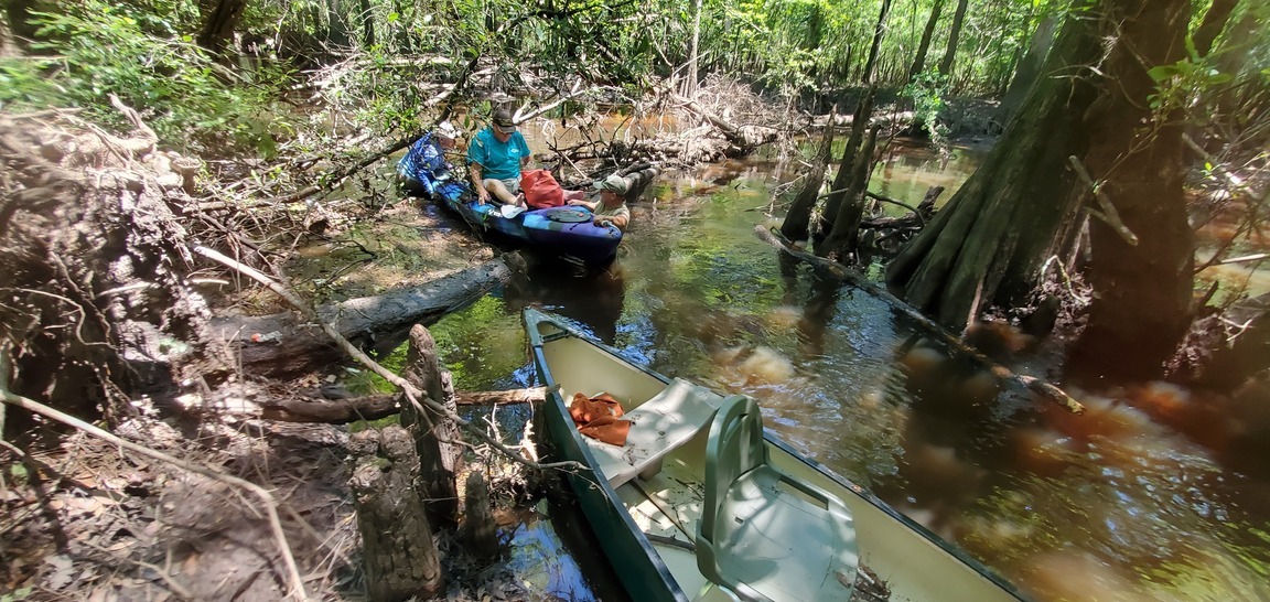 Kayak over log, 12:39:35, 30.8650093, -83.3212215