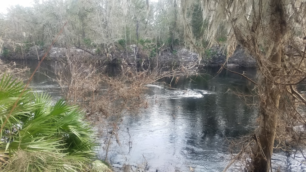 Little Shoals 64.5 feet, 2019-01-19 --John S. Quarterman, 30.3329216, -82.7269528