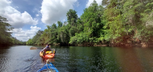 Downstream from lally columns, 10:42:18, 30.3502358, -82.6853862