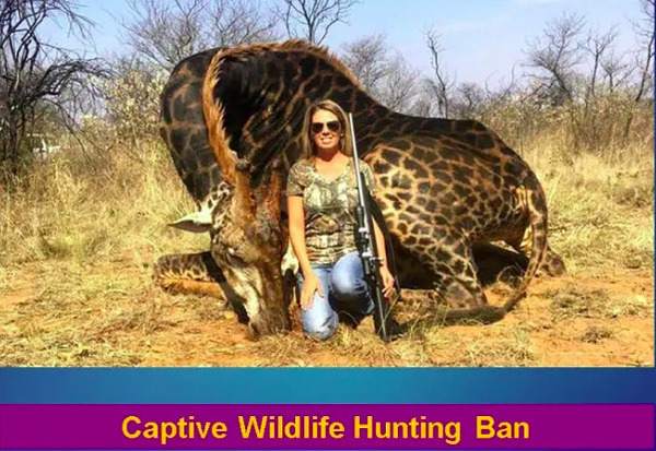 Captive Wildlife Hunting Ban