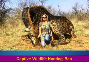 [Captive Wildlife Hunting Ban]