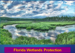 [Florida Wetlands Protection]