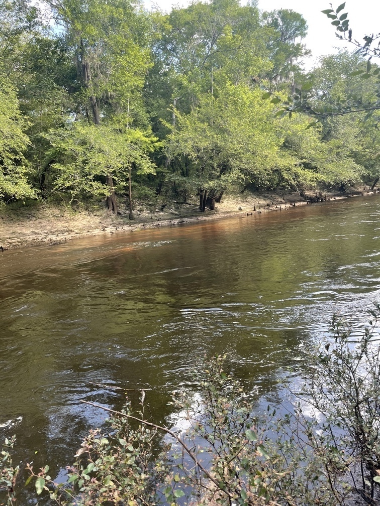 Troupville Boat Ramp 2020-05-20