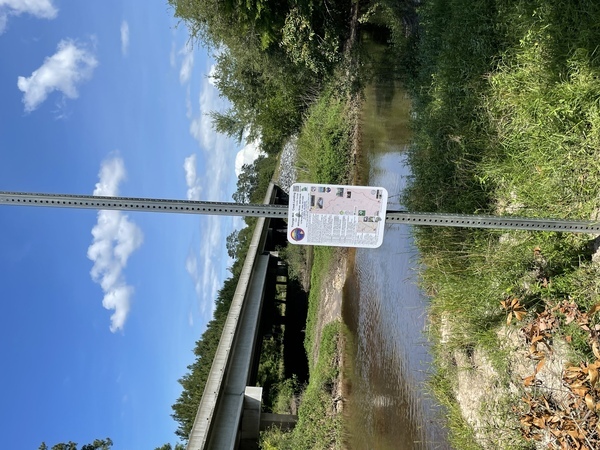 [Youngs Mill Creek Landing @ GA 37, Withlacoochee River, Cook County, GA]