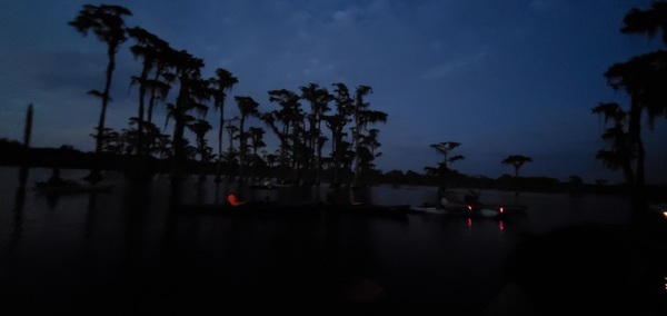 Cypress, boats, lights