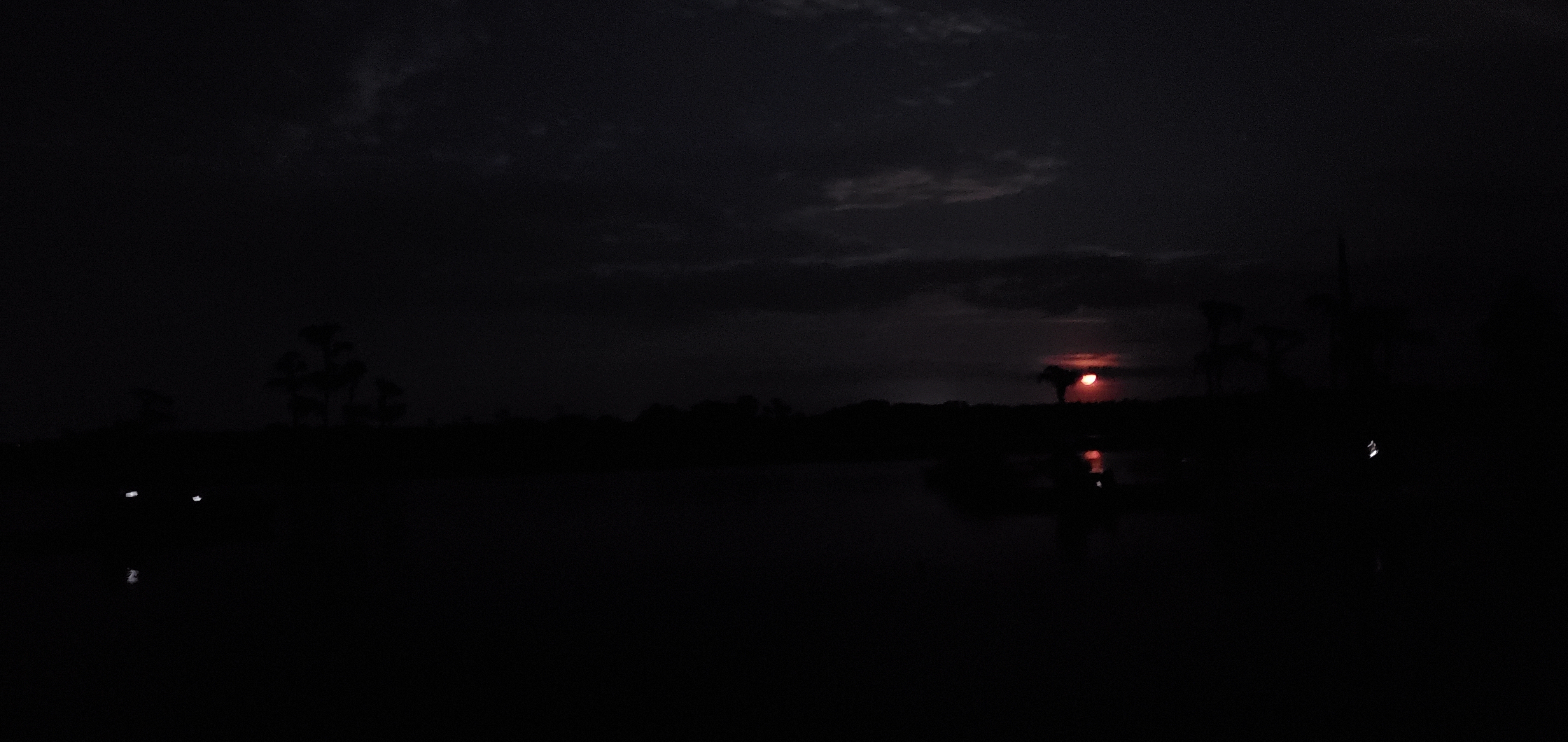 Boats, moonrise