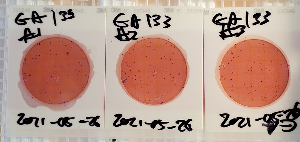 Plates, GA 133 2021-05-26