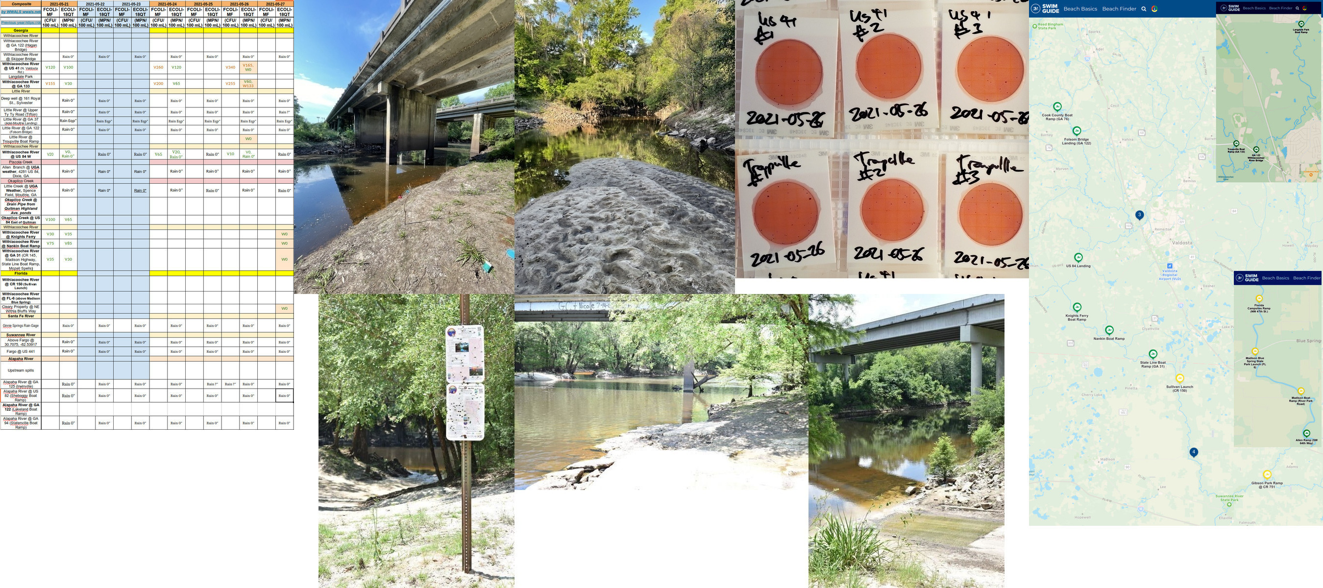 Bridges, Withlacoochee River, Swim Guide