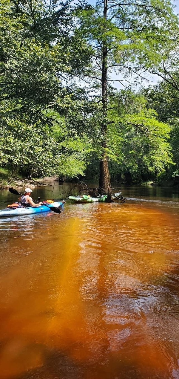 Sandbar between Knights Ferry, Nankin, Withlacoochee River, Bobby Mckenzie, 30.697405, -83.449220