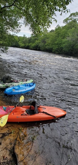 [Higher water, State Line Shoals, Withlacoochee River, Bobby Mckenzie, 30.636631, -83.350519]