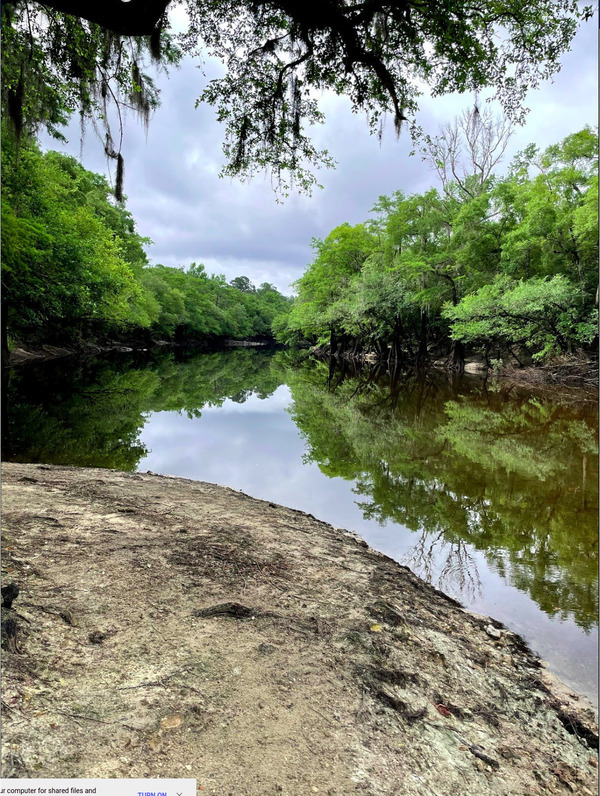 [Withlacoochee River @ Knights Ferry Boat Ramp 2021-06-03]