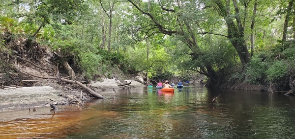 [Overhanging oaks, 10:30:48, 30.6250466, -83.0894914]