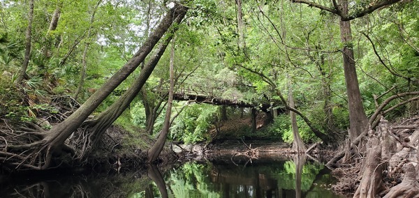 Medium Beatty Bridge, 11:18:05, 30.6165163, -83.0793772