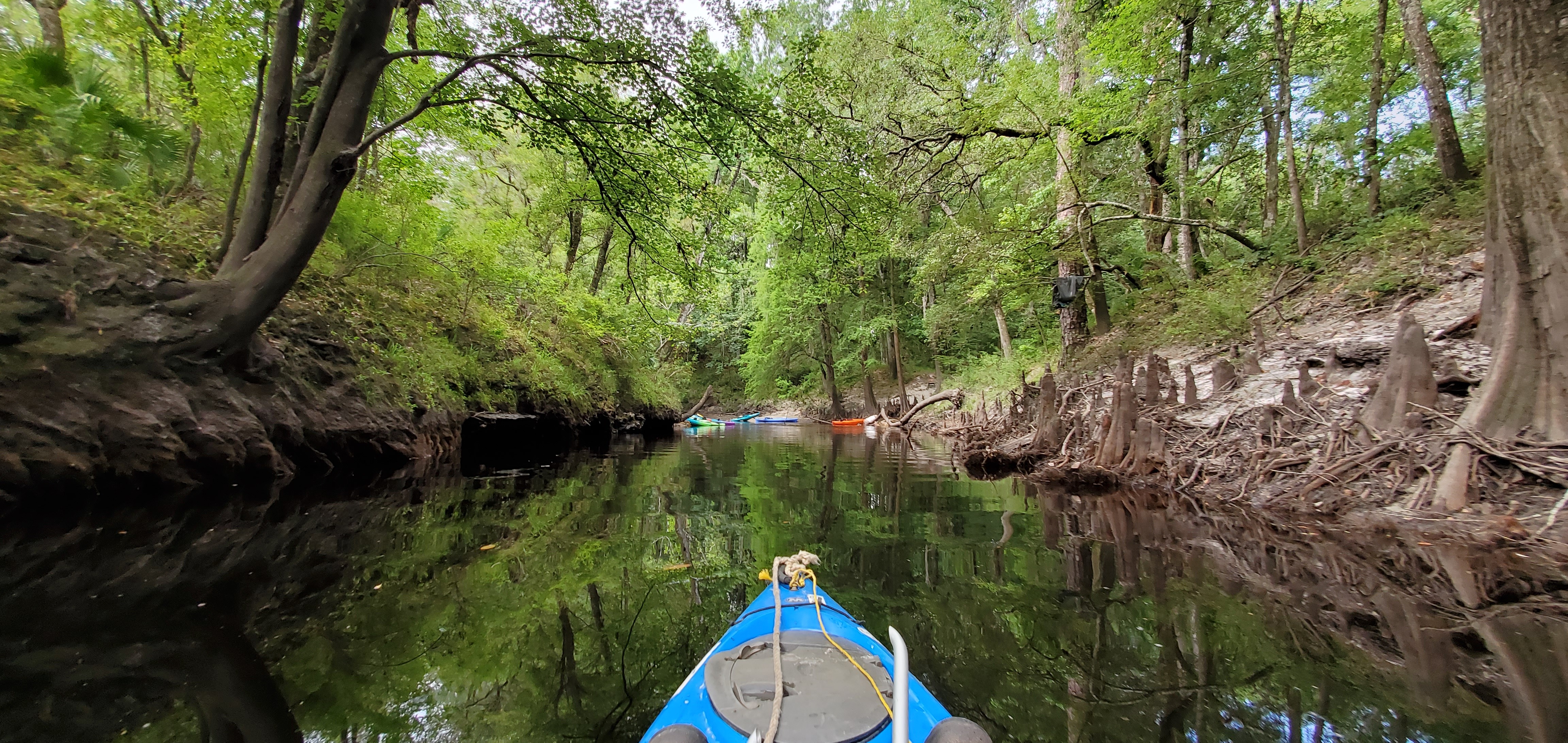 Parked kayaks, 11:07:14, 30.6180158, -83.0801554