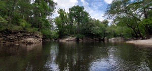 [Distant Alapahoochee River Confluence, 13:00:06, 30.6018850, -83.0739601]