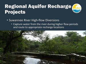 [Suwannee River High-flow Diversions]