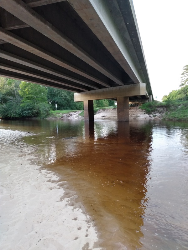 [Willacoochee Landing @ GA 135, Alapaha River, 2021-06-09]