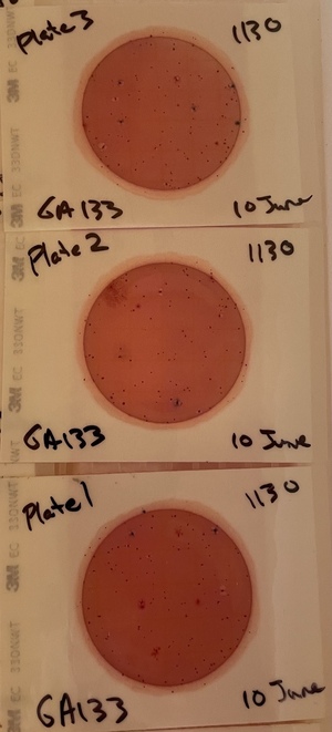 [Plates, GA 133 Withlacoochee River 2016-06-10]