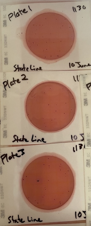 [Plates, State Line Boat Ramp 2021-06-10]