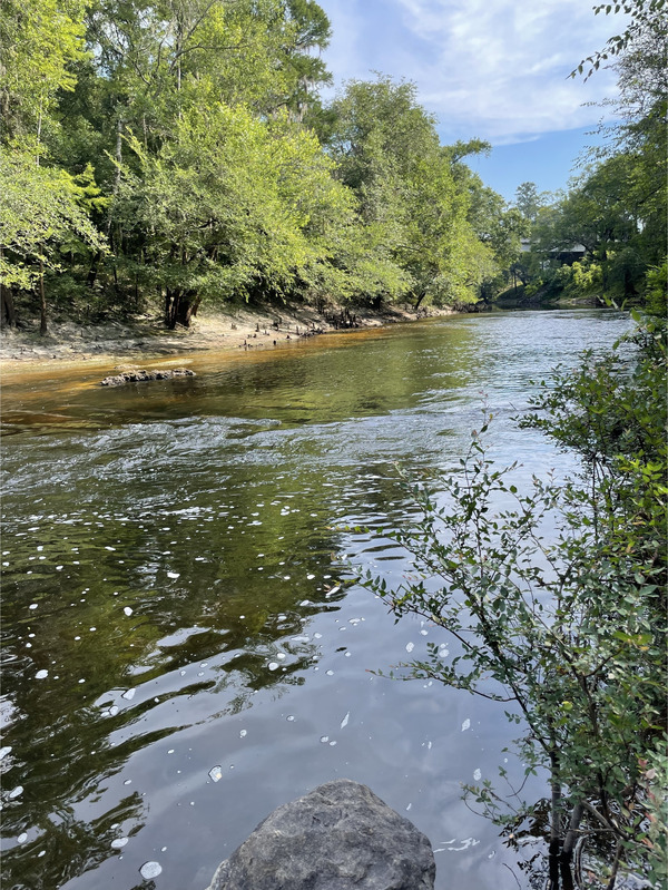 [Troupville Boat Ramp, Little River 2021-06-17]