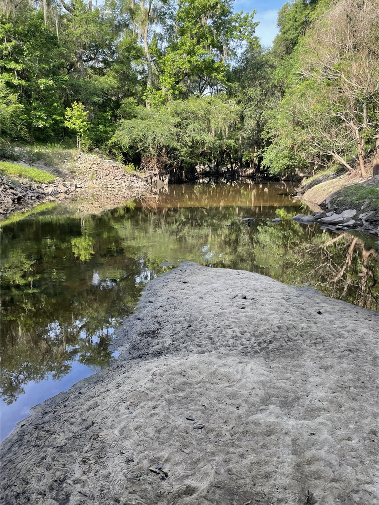 GA 133, Withlacoochee River 2021-06-17