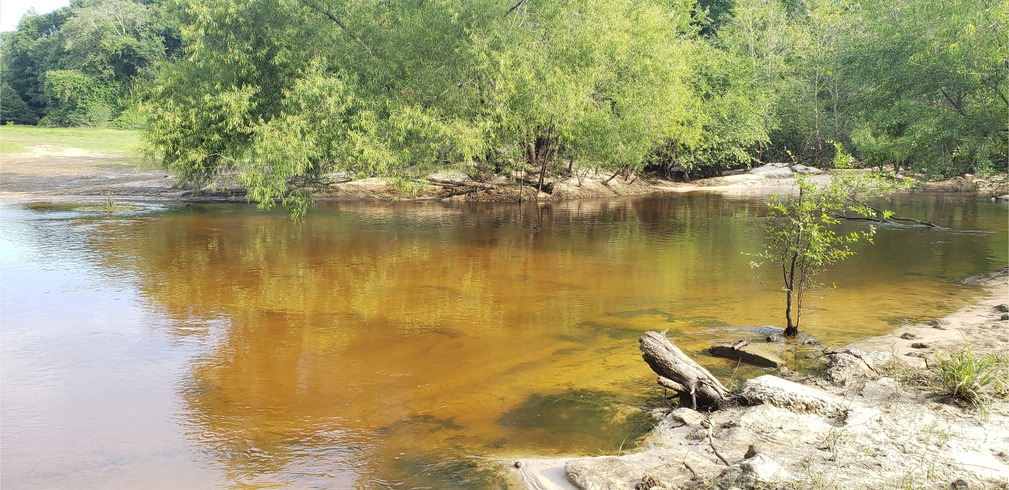 Folsom Bridge Landing, Little River 2021-06-17