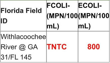 TNTC: Too numerous to Count