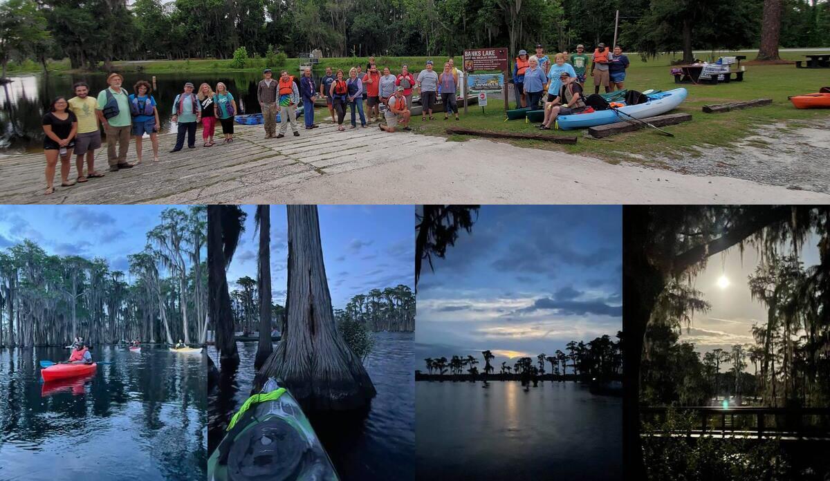 26 paddlers, cypress, bat tree, moon