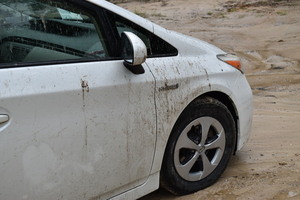 [Madden in the Prius @ Knights Ferry Boat Ramp 2021-06-24]