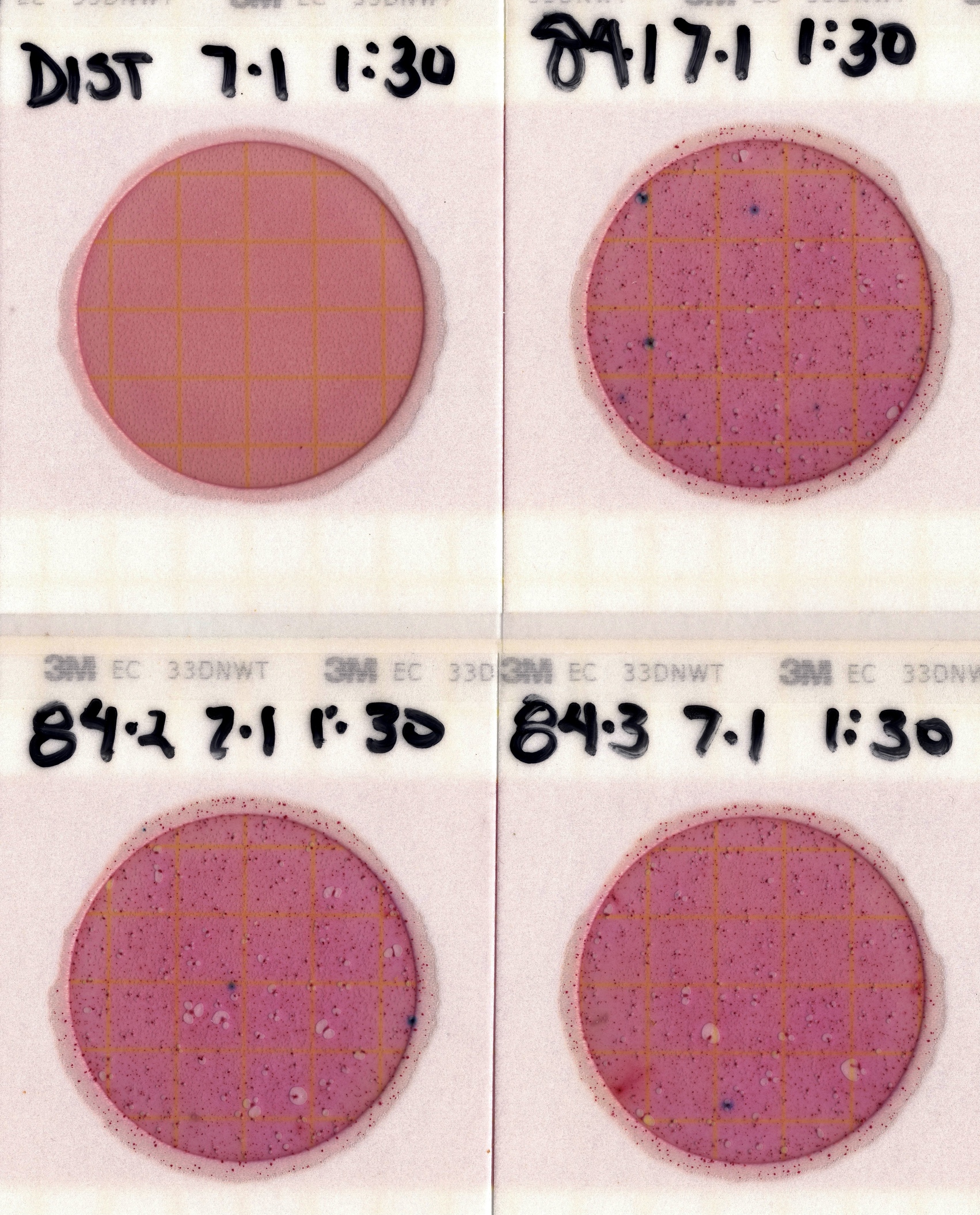 Plates, US 84 Landing, Withlacoochee River 2021-07-01