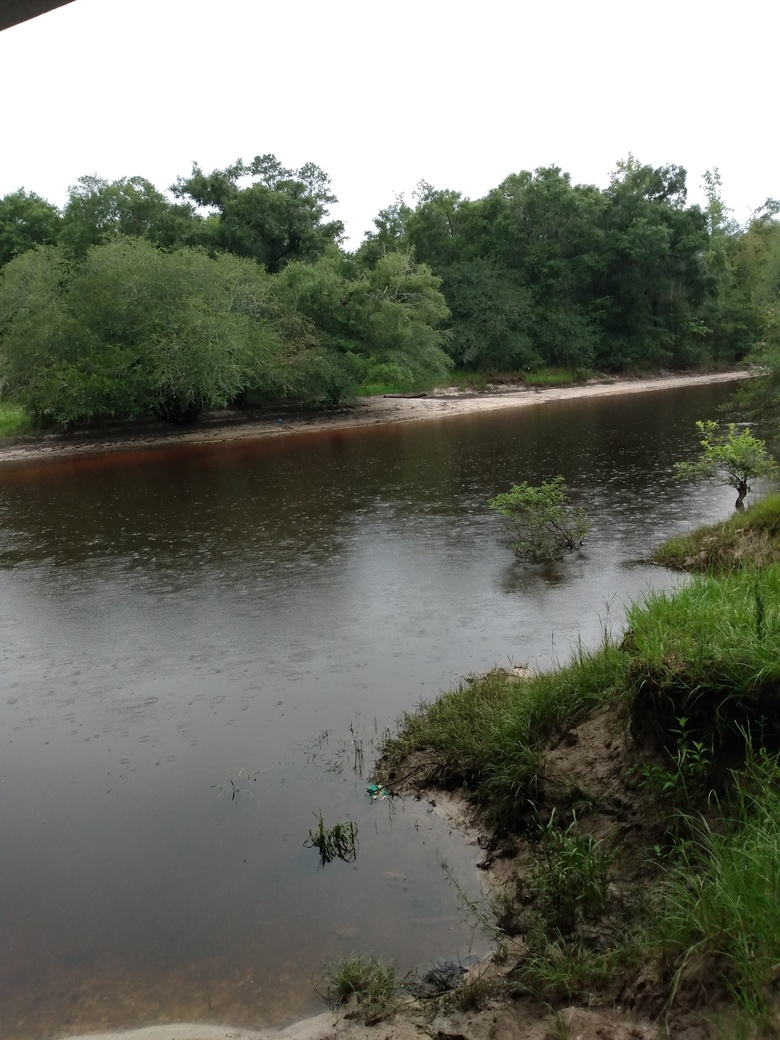 Willacoochee Landing @ GA 135, Alapaha River 2021-07-01