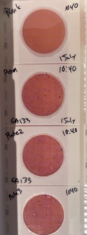 [Plates, GA 133, Withlacoochee River 2021-07-01]