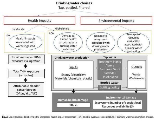 Model: Drinking Water Choices