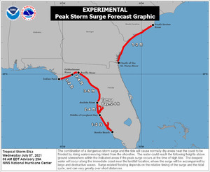 [Peak Surge prediction]