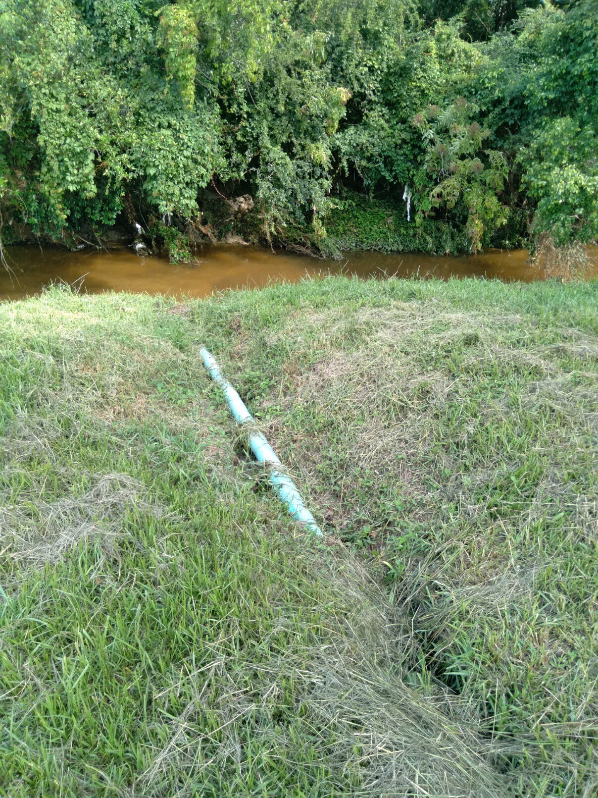 White pipe to Onemile Branch