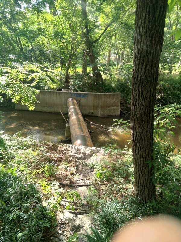 Sewer pipe across Onemile Branch