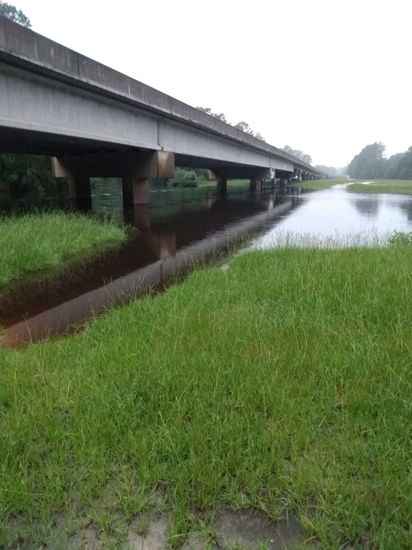 [Willacoochee Landing, Alapaha River 2021-07-07]