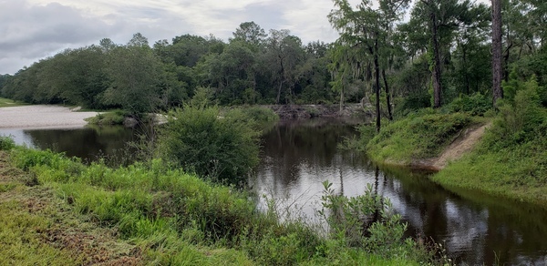 [Lakeland Boat Ramp, Alapaha River 2021-07-08]