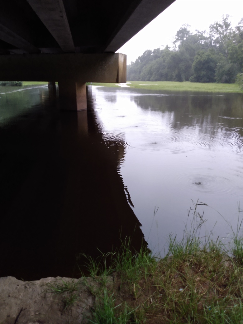 Bridge, GA 135, Alapaha River 2021-07-07