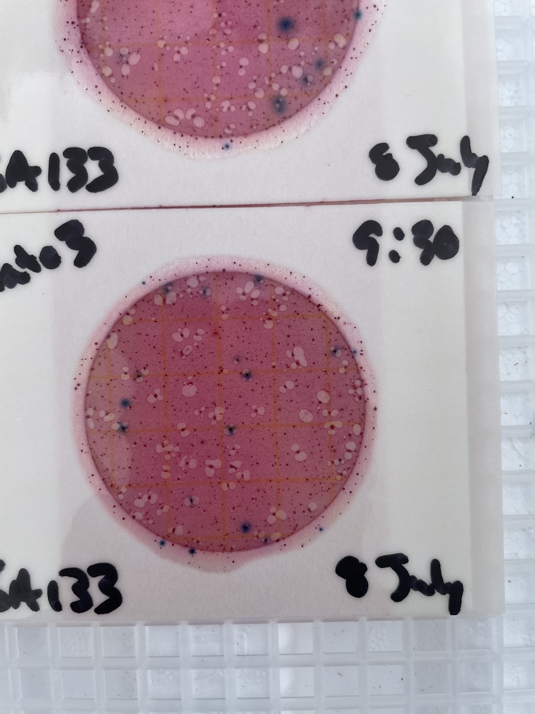 GA-133-Plate-3-8-July