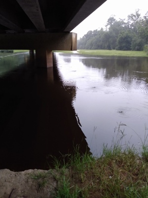 [Bridge, GA 135, Alapaha River 2021-07-07]