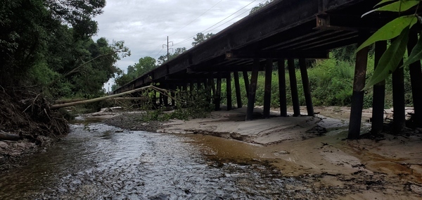 Sugar Cr. below NSFRR Bridge, 10:16:02, 30.8525360, -83.3147810