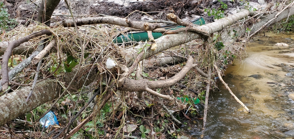 Logjam below NSFRR Bridge, 10:32:50, 30.8522010, -83.3147030